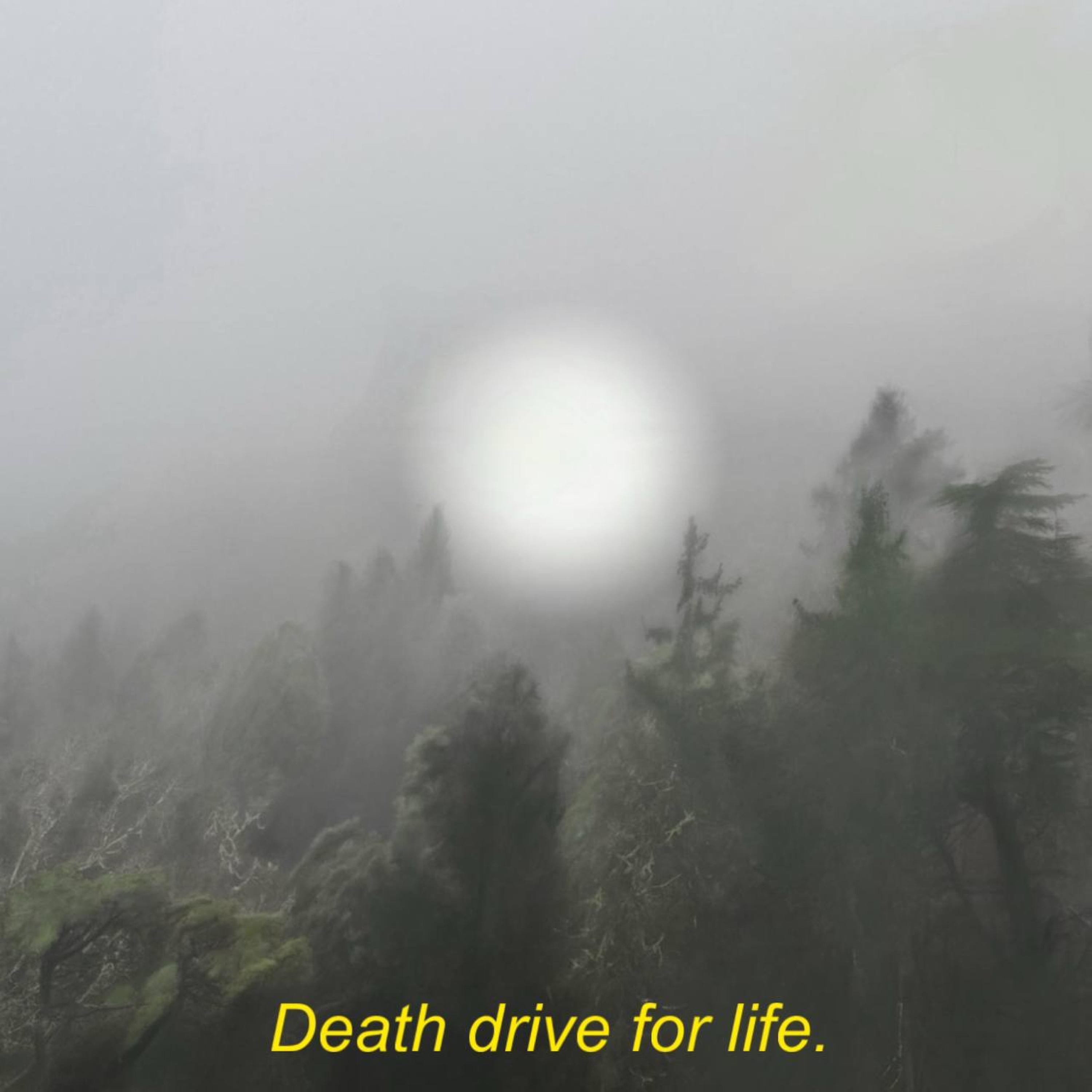 Death Drive for Life - EP