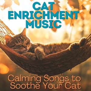 Cat Enrichment Music - Calming Songs to Soothe Your Cat