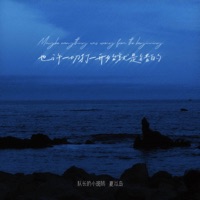 也许一切打一开始就是错的 - Single - 队长的小斑鸠 & 夏以岛