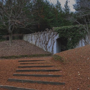 two steps too late - Single