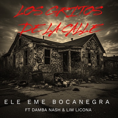 Los Gritos de la Calle (feat. Damba Nash & Lim Licona) - Single