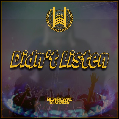 Didn't Listen - Single