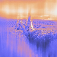 TAKE ME - Single - DANNEE & Zabb