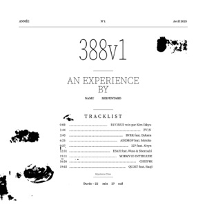 388v1 (An experience by Namu Serpentard)