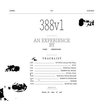 388v1 (An experience by Namu Serpentard)