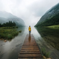 A Stillness That Knows Me - Tommy Harmony