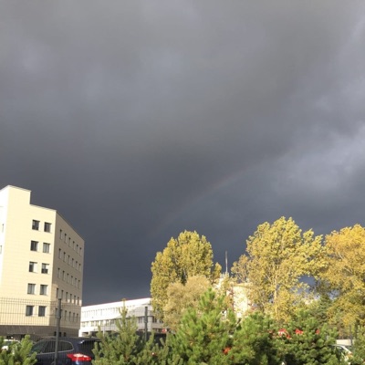 Бутафорский ножик - Single