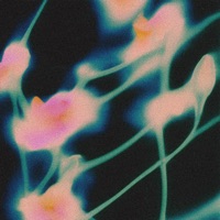 Finity - Single - halfpastseven & Tallulah Rose