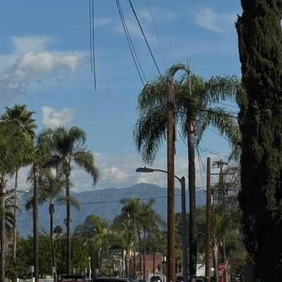 A Really Good Life (The Decisions) - Single