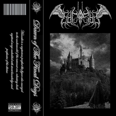 Tomb Raider (feat. idontknowjeffery) - Single