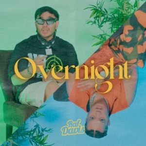 OVERNIGHT (feat. Petsanity)