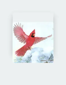 Luister naar CiloWorld Cinco, bekijk muziekvideo's, lees de bio, bekijk de tourdata, en meer!