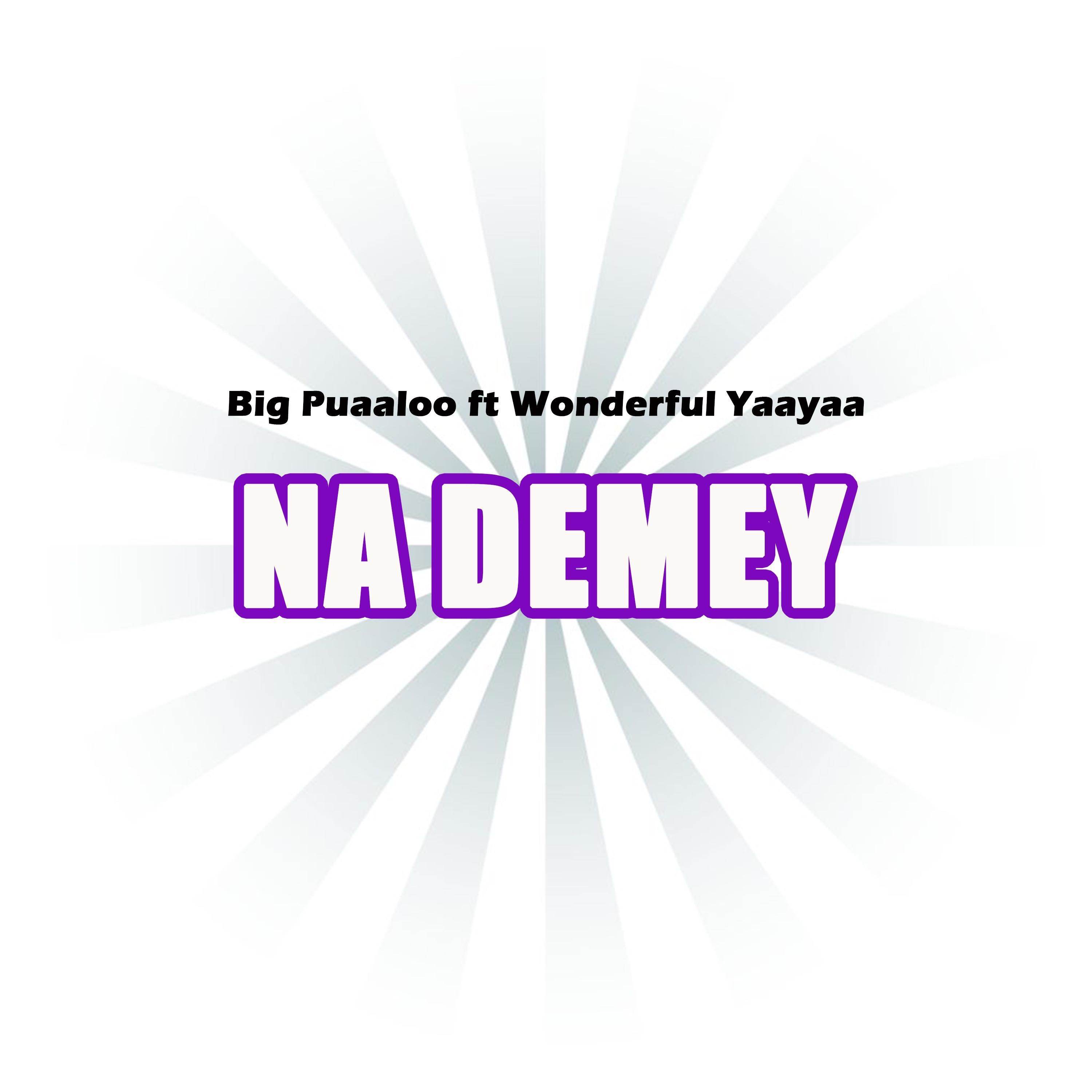 Na Demey (feat. Wonderful Yaayaa) - Single by Big Pauloo album cover