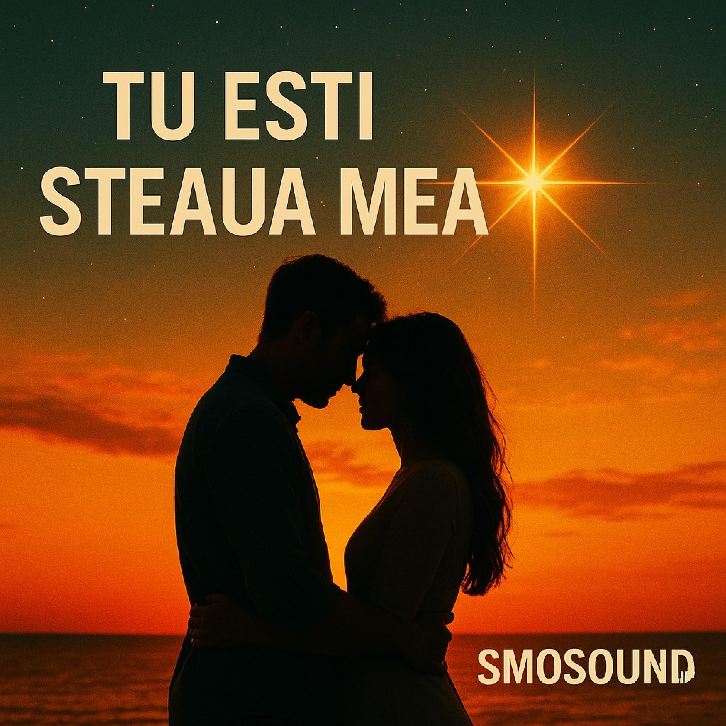 Tu Esti Steaua Mea - Single