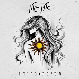 מסיבת פרידה Alin Golan