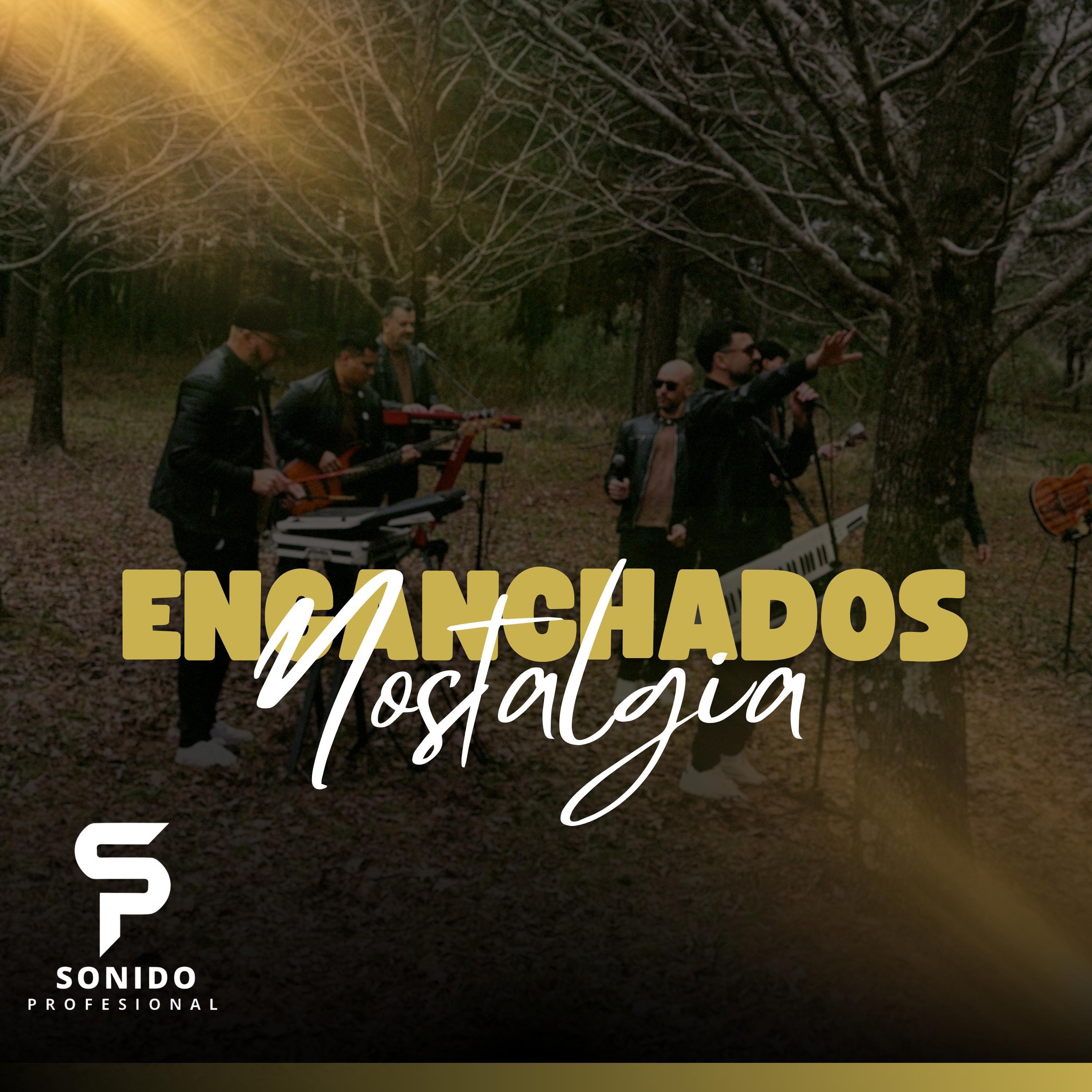 Recordando con Sonido Profesional