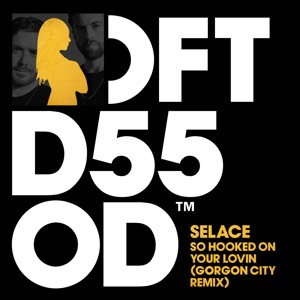 So Hooked on Your Lovin (Gorgon City Remix)