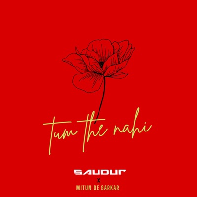 Tum The Nahi (feat. Mitun De Sarkar) - Single