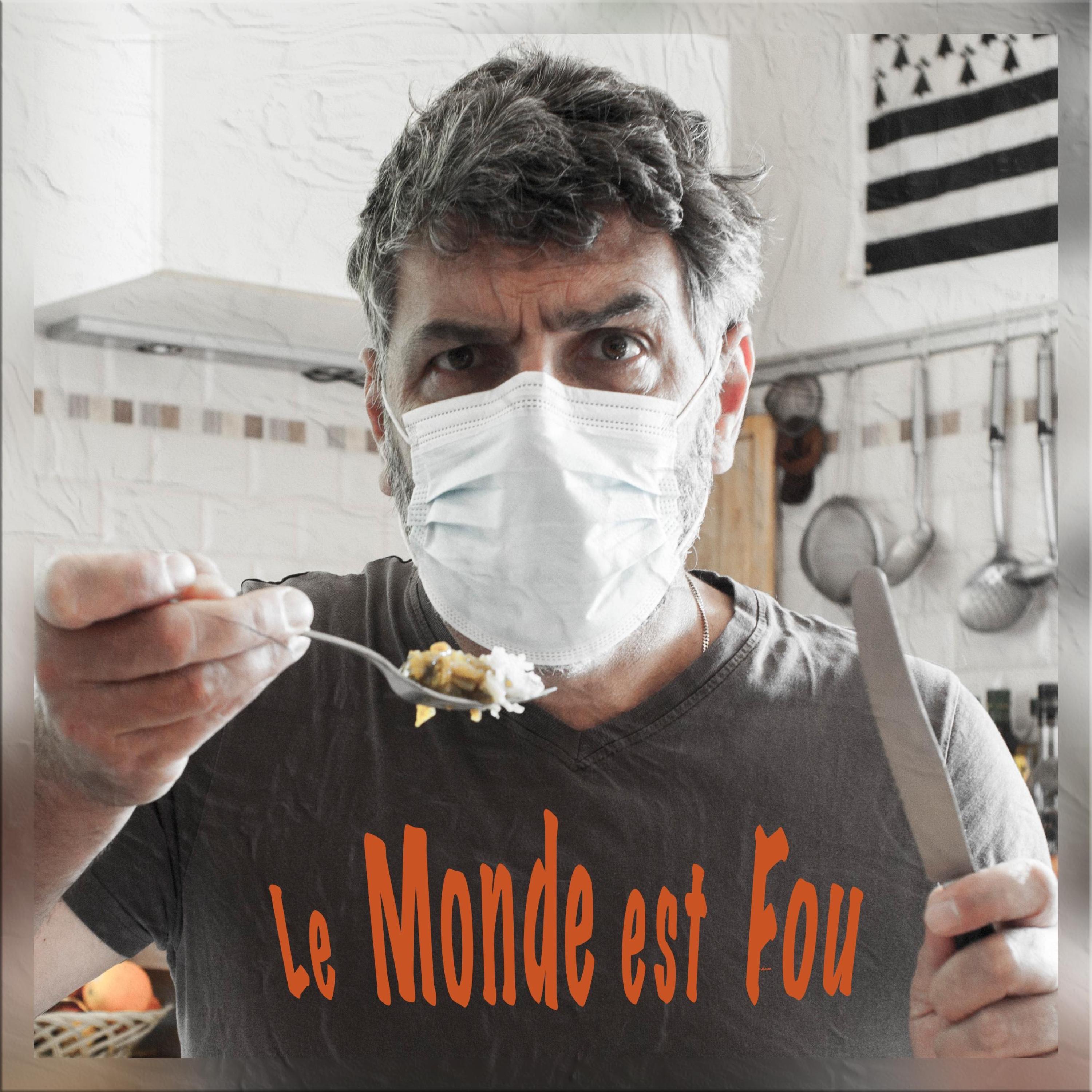 Le Monde est Fou - Single