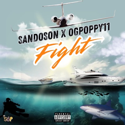 Fight (feat. OGPOPPY11) - Single