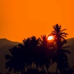 Summer Nights - Single