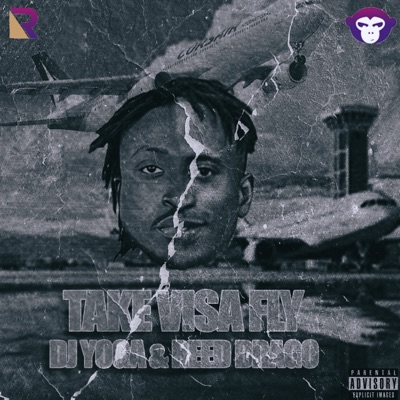 Take Visa Fly - Single