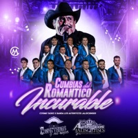 Cumbias del Romántico Incurable (feat. COSME TADEO) - Single - Los Autenticos Jaliscienses