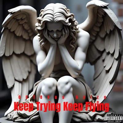 Keep trying Keep flying - Single