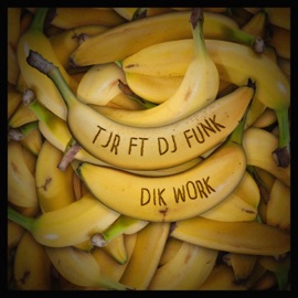 Dik Work (feat. DJ Funk) TJR