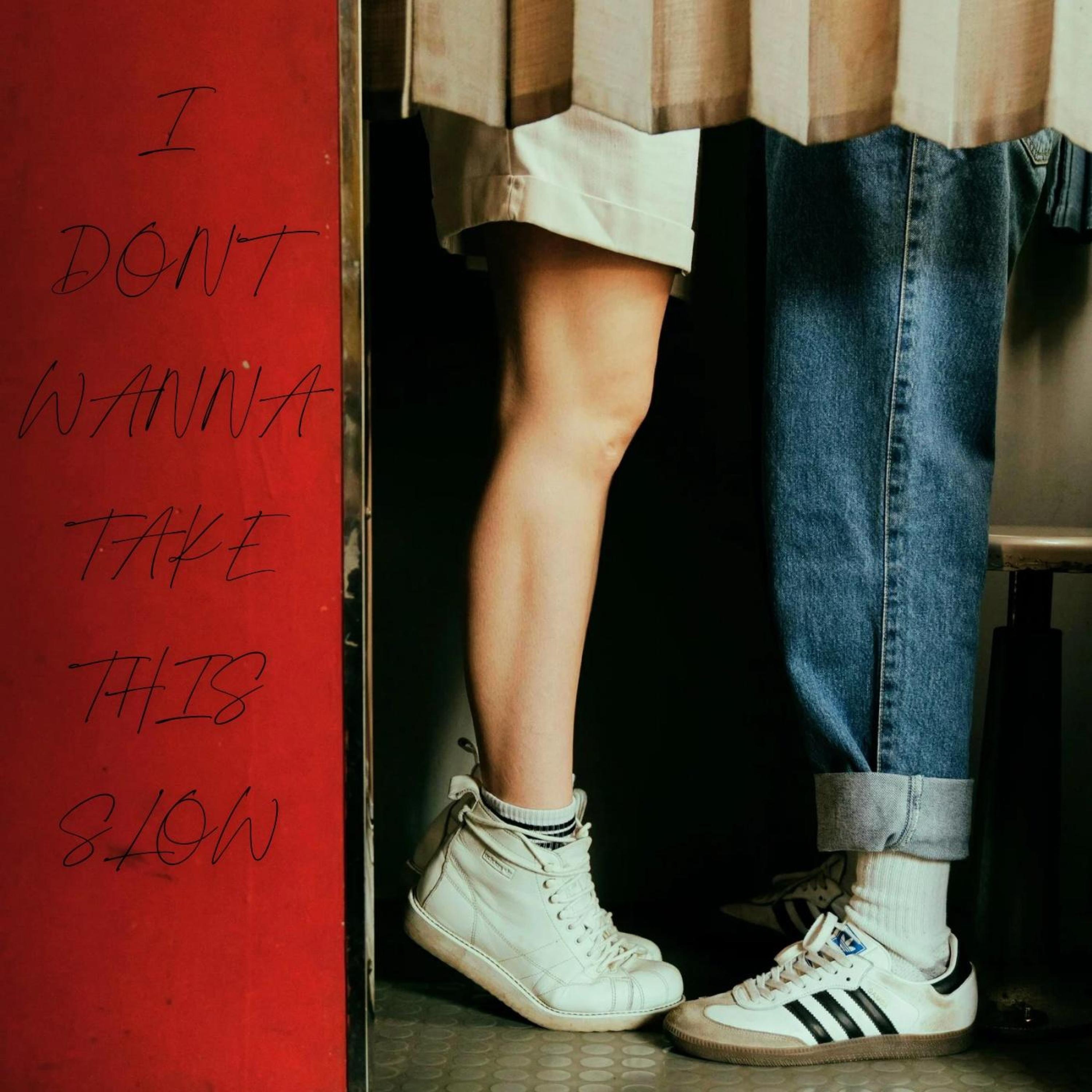 I Don't Wanna Take This Slow - Single