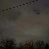 Черные Вороны (Не До Абстракций II) - Single - Loc-Dog & PHARAOH