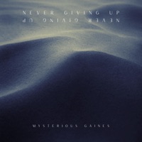 Never Giving Up - Single - Mysterious Gaines