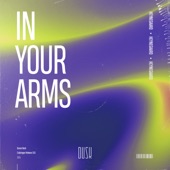 In Your Arms (Extended Mix) artwork