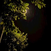 ig model - Single - Xuko!