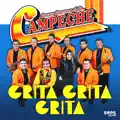 Grita Grita Grita