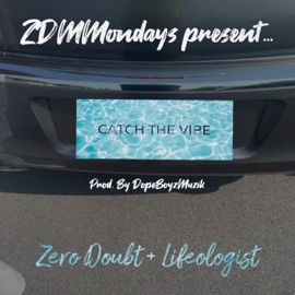 Catch The Vibe (feat. Lifeologist) Zero Doubt