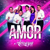 HE SENTIDO AMOR