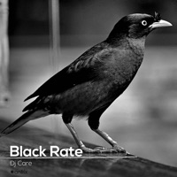 Black Rate - Single - DJ Care