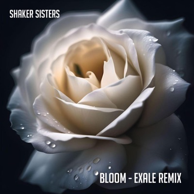 Bloom (feat. Shaker Sisters) [Exale Remix] - Single