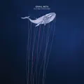 Mediterraneo