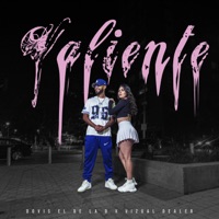 Valiente - Single - Dovis El De La D & Vizual Dealer