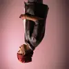 Pink Wine - Il giorno della mia laurea