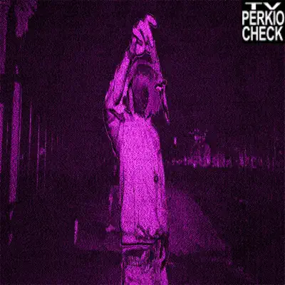 Luister naar 'Check - Single' van Perkio