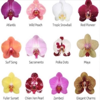 stop abusing bitcrush (feat. handweep) - EP