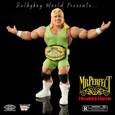 Mr. Perfect