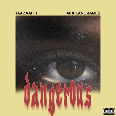 Dangerous (feat. Airplane James) - Single