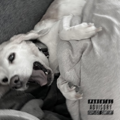 Back In Town (feat. damsKO, Melli, CPayne & Kemist) - Single