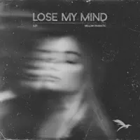Lose My Mind (Radio Mix) — Mellow Dramatic