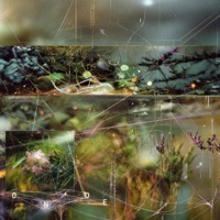 Talvez - Single - HAZMTA