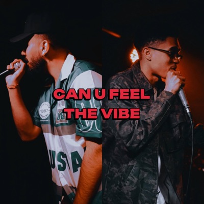 Can u feel the vibe - Single